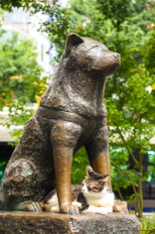 A estátua do cão Hachiko, em Shibuya.