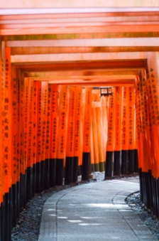 Senbou Torii, Templo Fushimi-Inari