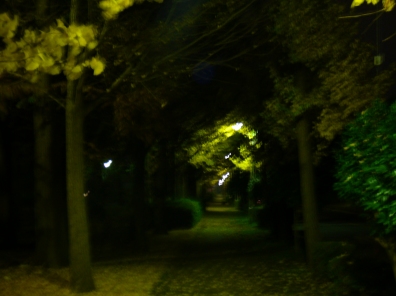 Same street as before but with artificial light in the middle of foliage
